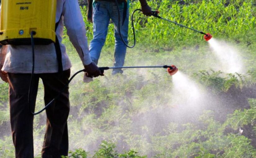 Insecticides Registration India