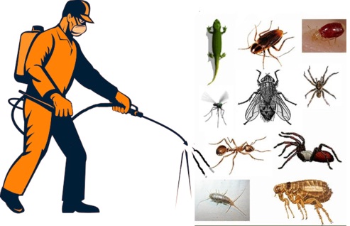 Top 5 Pest Control License Consultants in Delhi India