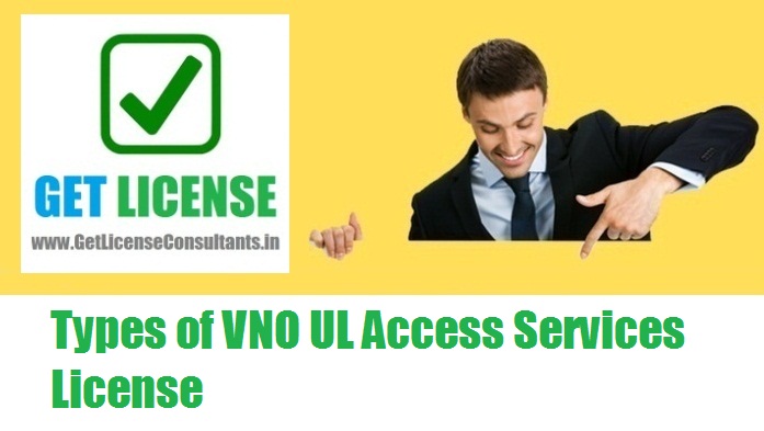 Types of VNO UL Access Services License