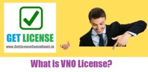 What is VNO License